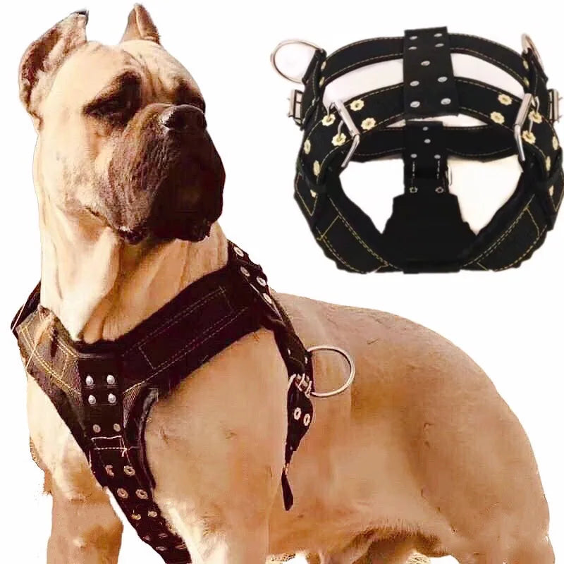 Heavy-Duty 4-Ring Training & Pulling Harness for Large Breeds