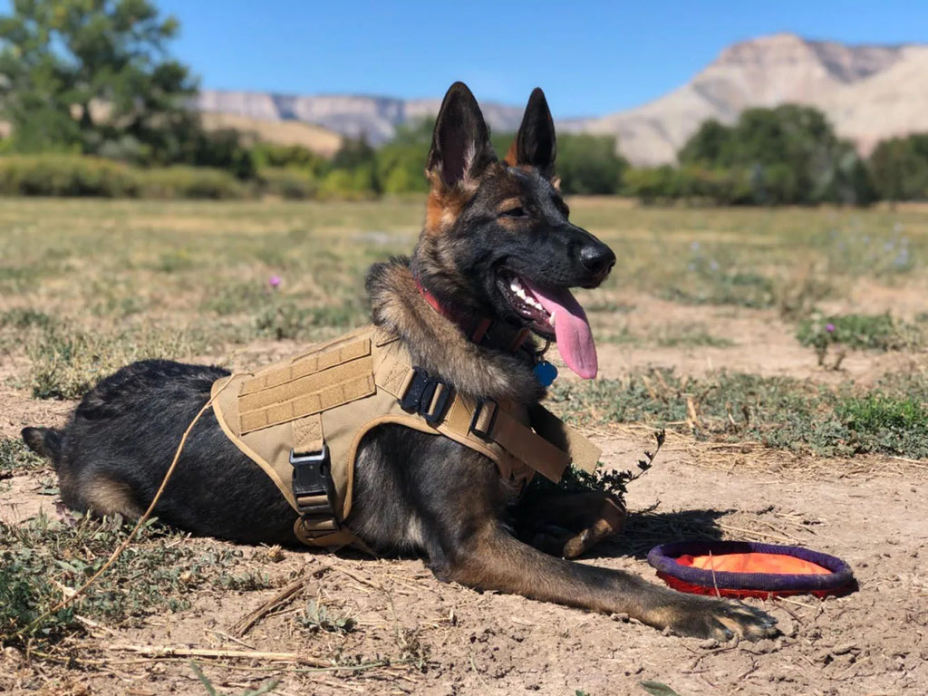 K9 Tactical Military Dog Harness with Ergonomic Control Handle