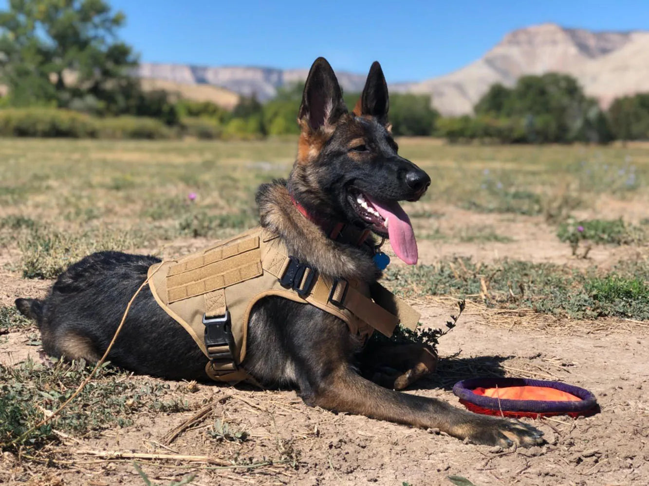 K9 Tactical Military Dog Harness with Ergonomic Control Handle
