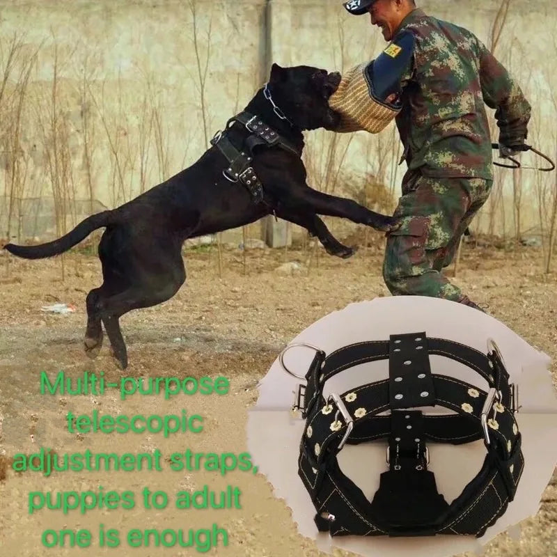 Heavy-Duty 4-Ring Training & Pulling Harness for Large Breeds