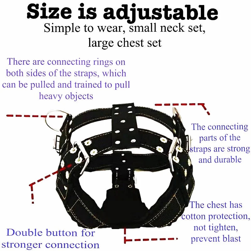 Heavy-Duty 4-Ring Training & Pulling Harness for Large Breeds