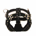 Heavy-Duty 4-Ring Training & Pulling Harness for Large Breeds