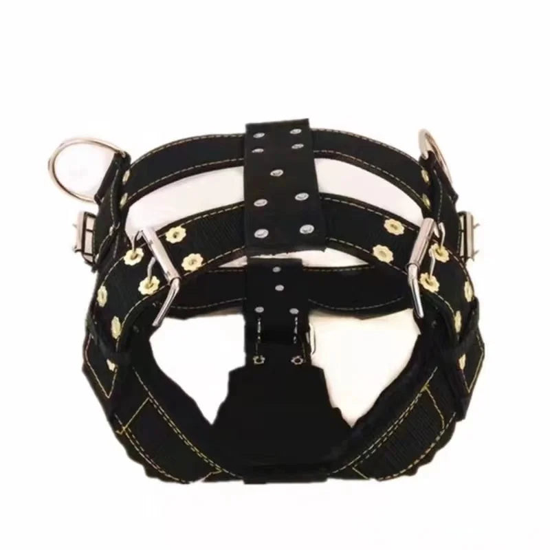 Heavy-Duty 4-Ring Training & Pulling Harness for Large Breeds