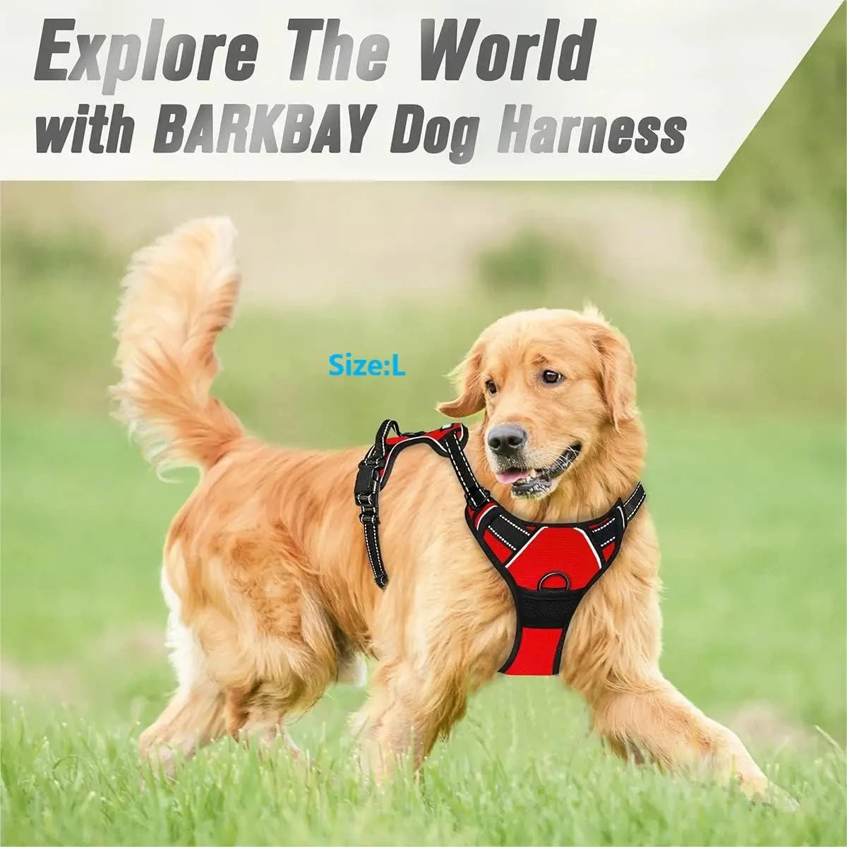 BARKBAY No-Pull Front Clip Dog Harness