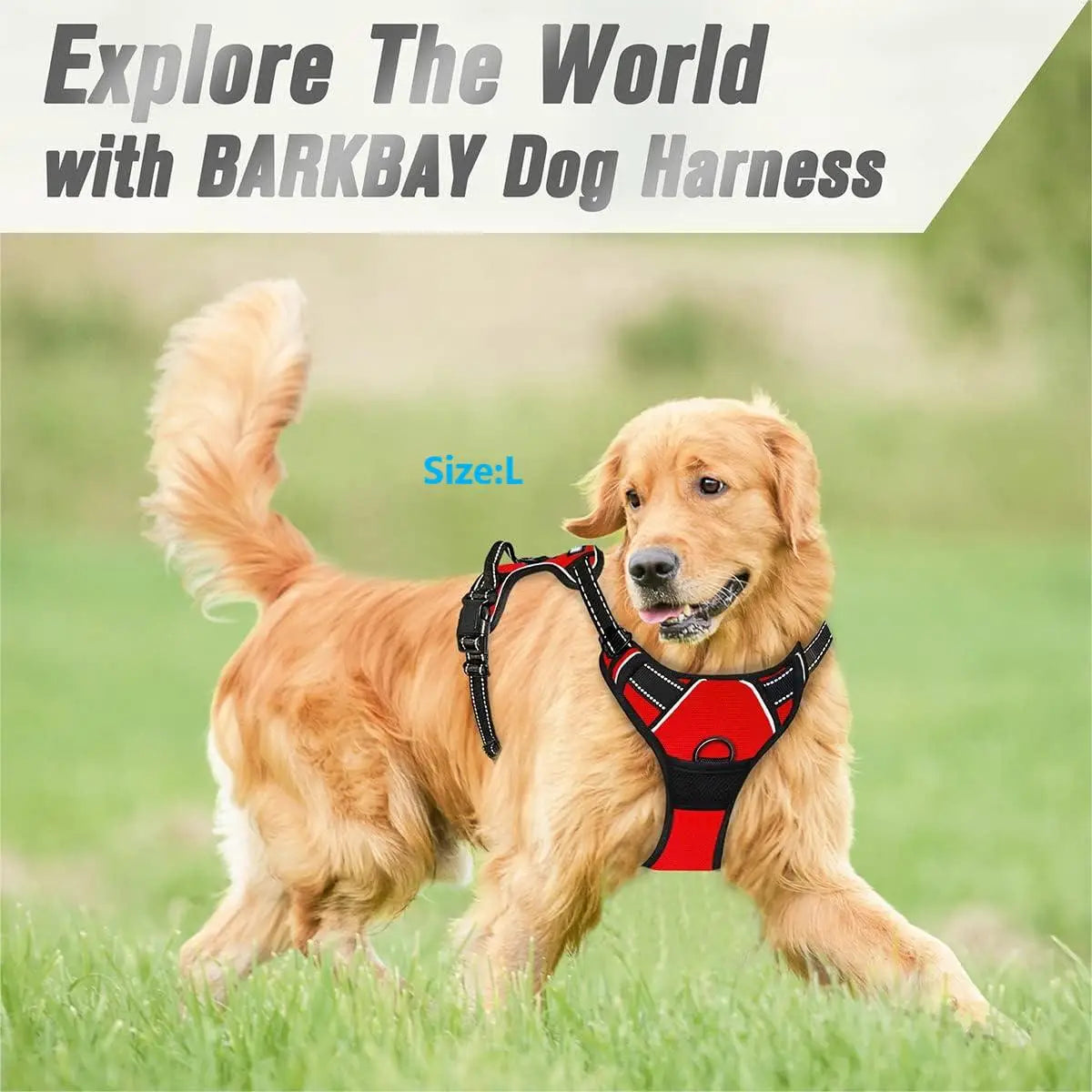 BARKBAY No-Pull Front Clip Dog Harness