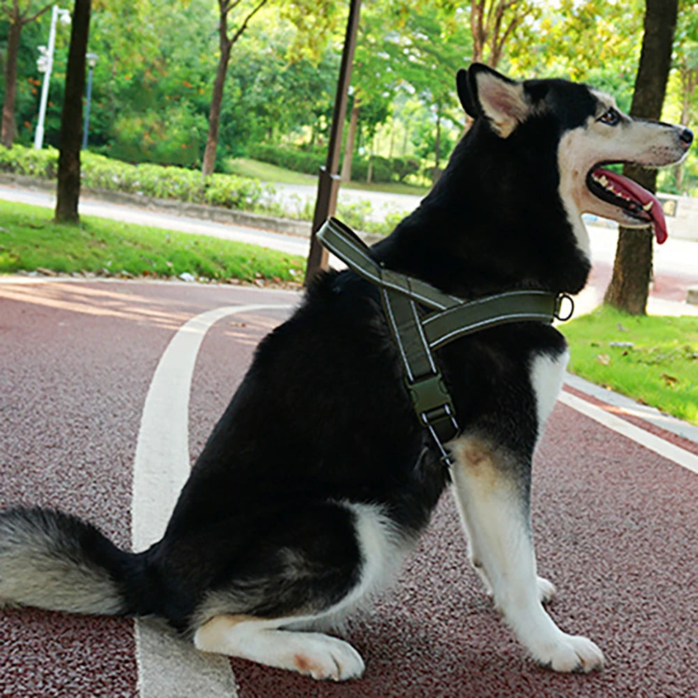 Heavy-Duty Tactical Dog Harness