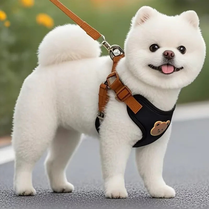 Cute Bear Chest Harness & Matching Leash Set
