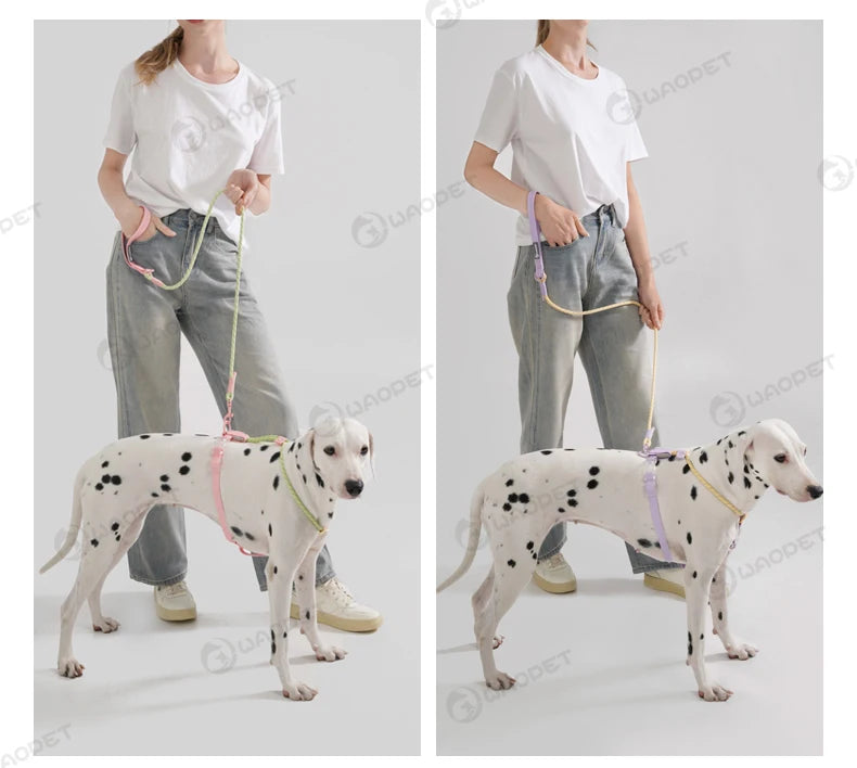 Light Luxury Minimalist PVC & Nylon Dog Harness