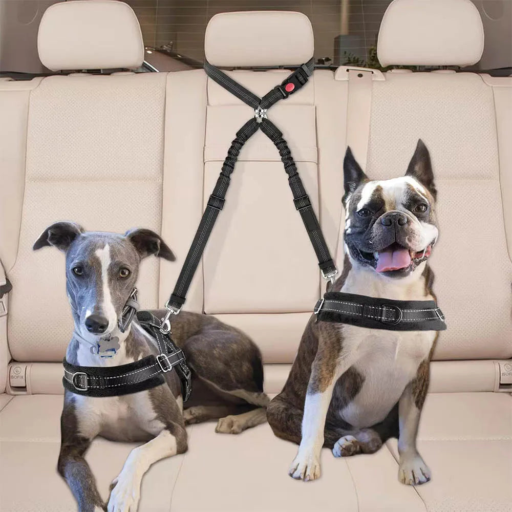 2-in-1 Dual Pet Safety System: Leash & Seatbelt