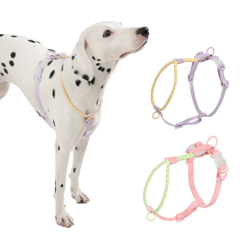 Light Luxury Minimalist PVC & Nylon Dog Harness