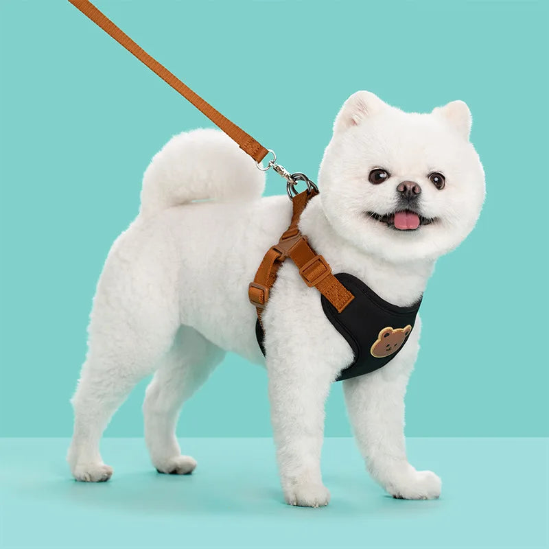 Cute Bear Chest Harness & Matching Leash Set