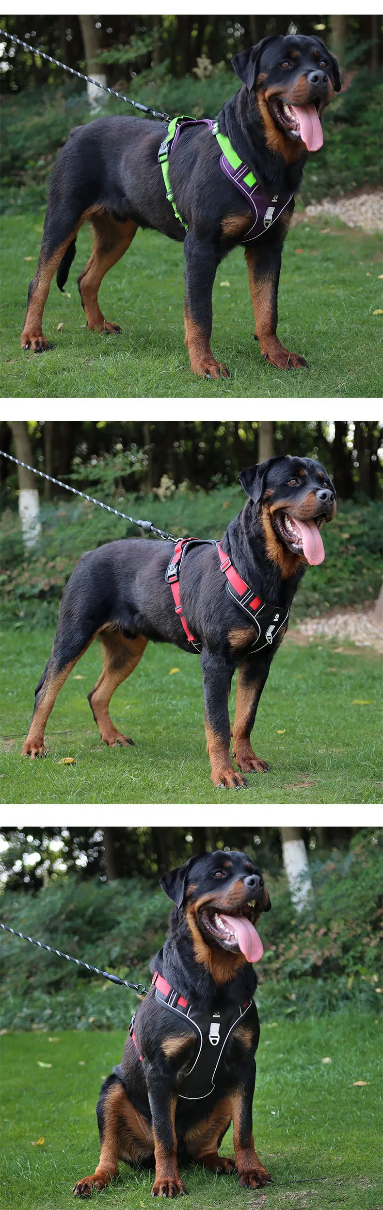 Heavy-Duty Reflective Dog Harness Vest