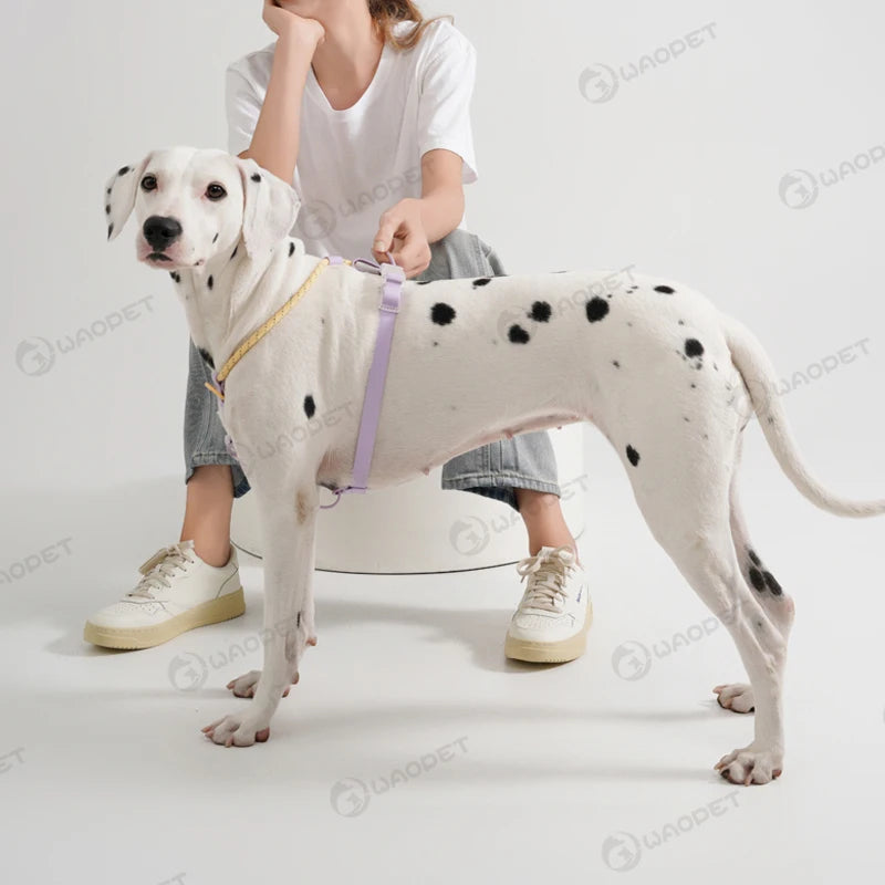 Light Luxury Minimalist PVC & Nylon Dog Harness