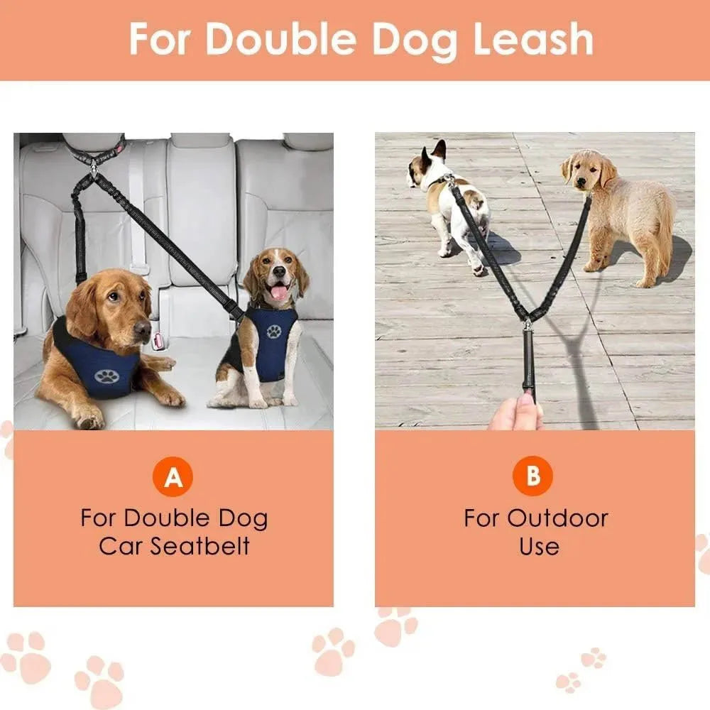 2-in-1 Dual Pet Safety System: Leash & Seatbelt