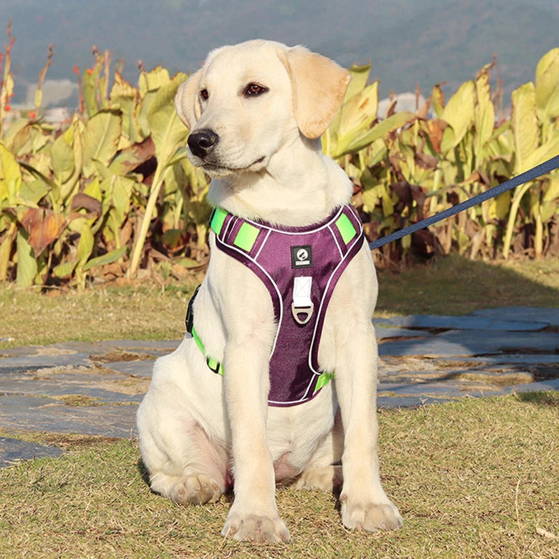 Heavy-Duty Reflective Dog Harness Vest