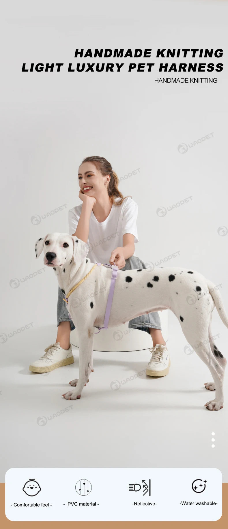 Light Luxury Minimalist PVC & Nylon Dog Harness