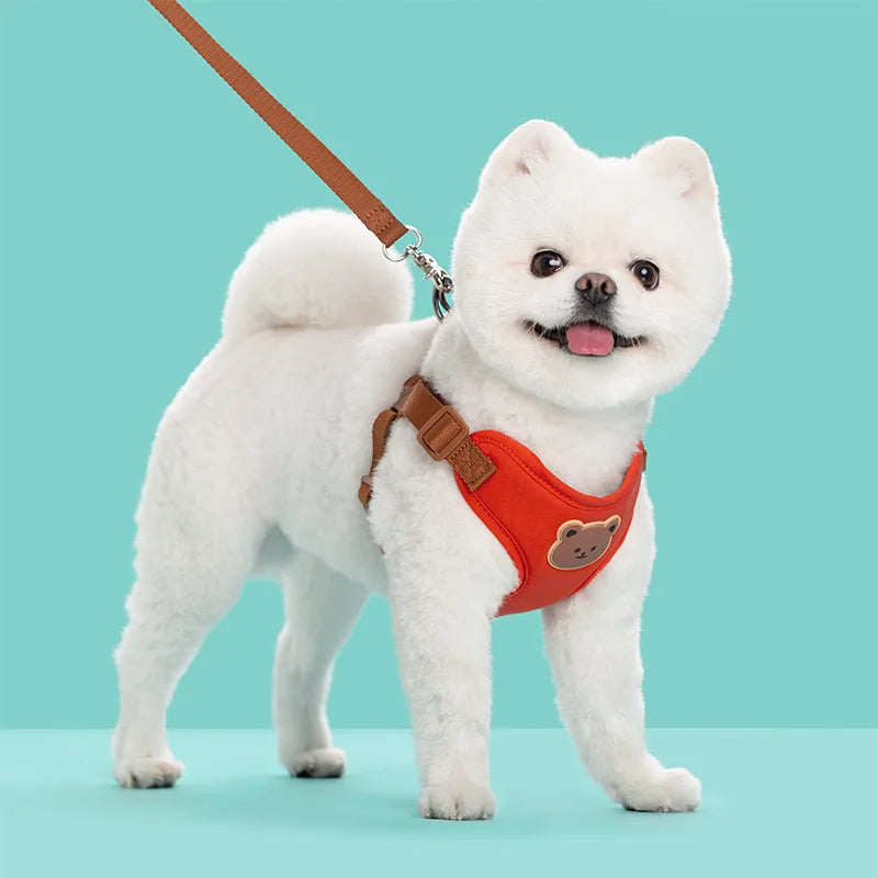 Cute Bear Chest Harness & Matching Leash Set
