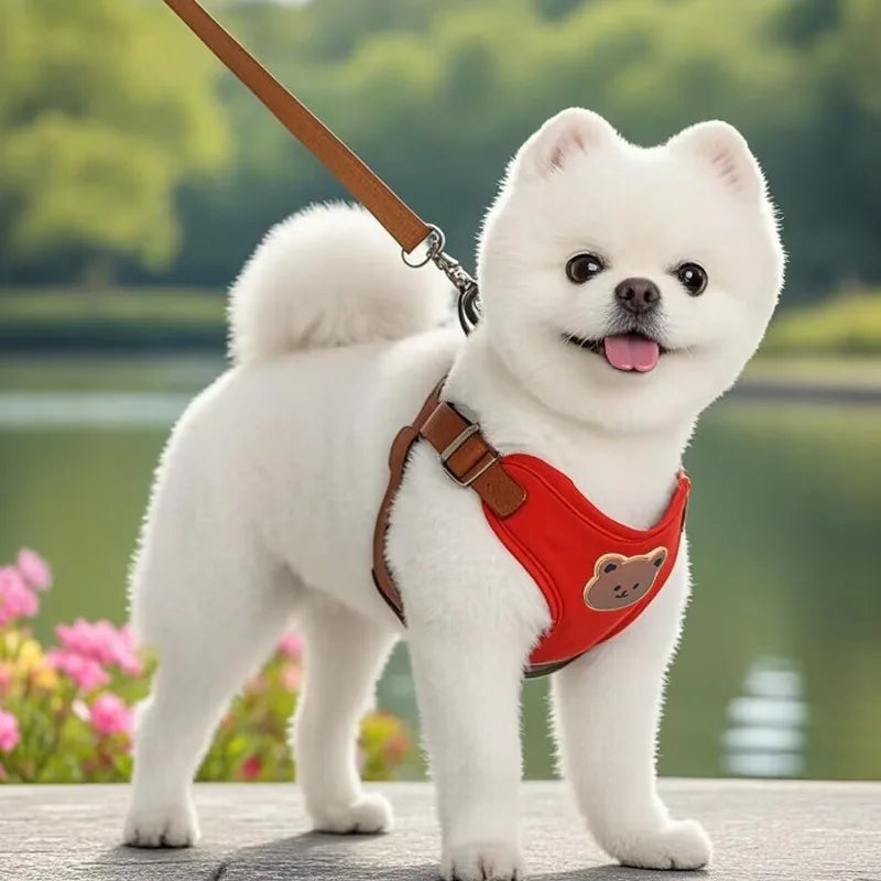 Cute Bear Chest Harness & Matching Leash Set
