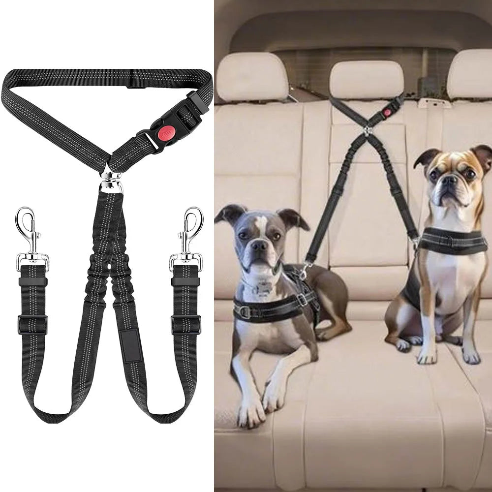 2-in-1 Dual Pet Safety System: Leash & Seatbelt