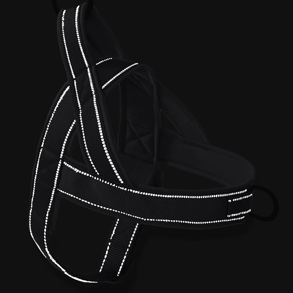 Heavy-Duty Tactical Dog Harness