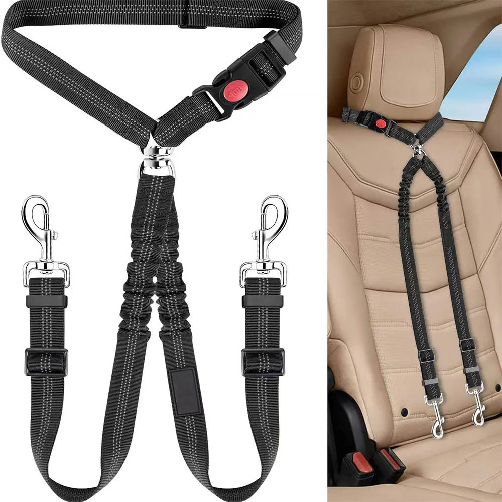 2-in-1 Dual Pet Safety System: Leash & Seatbelt