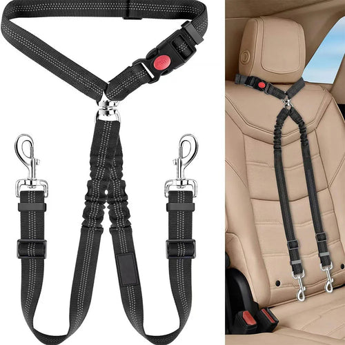 2-in-1 Dual Pet Safety System: Leash & Seatbelt