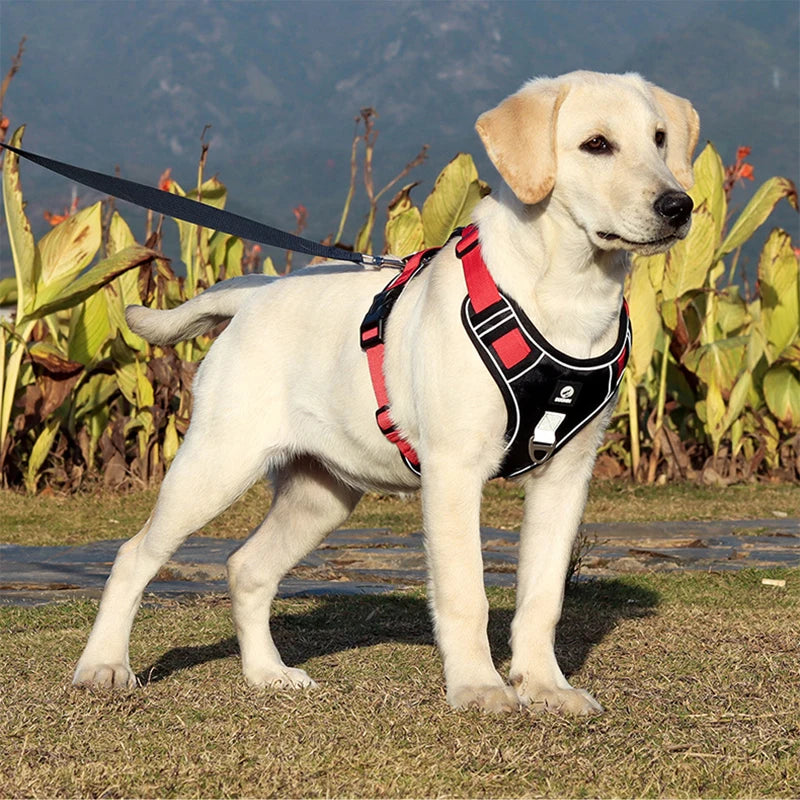Heavy-Duty Reflective Dog Harness Vest