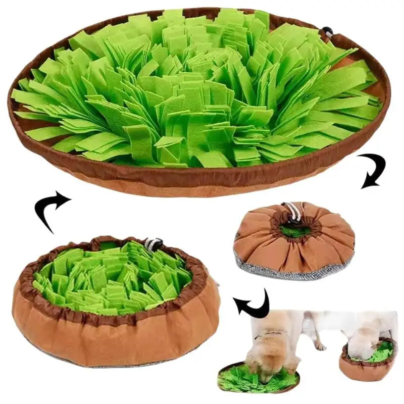 Interactive 3-in-1 Adjustable Pet Snuffle Mat & Foraging Bowl