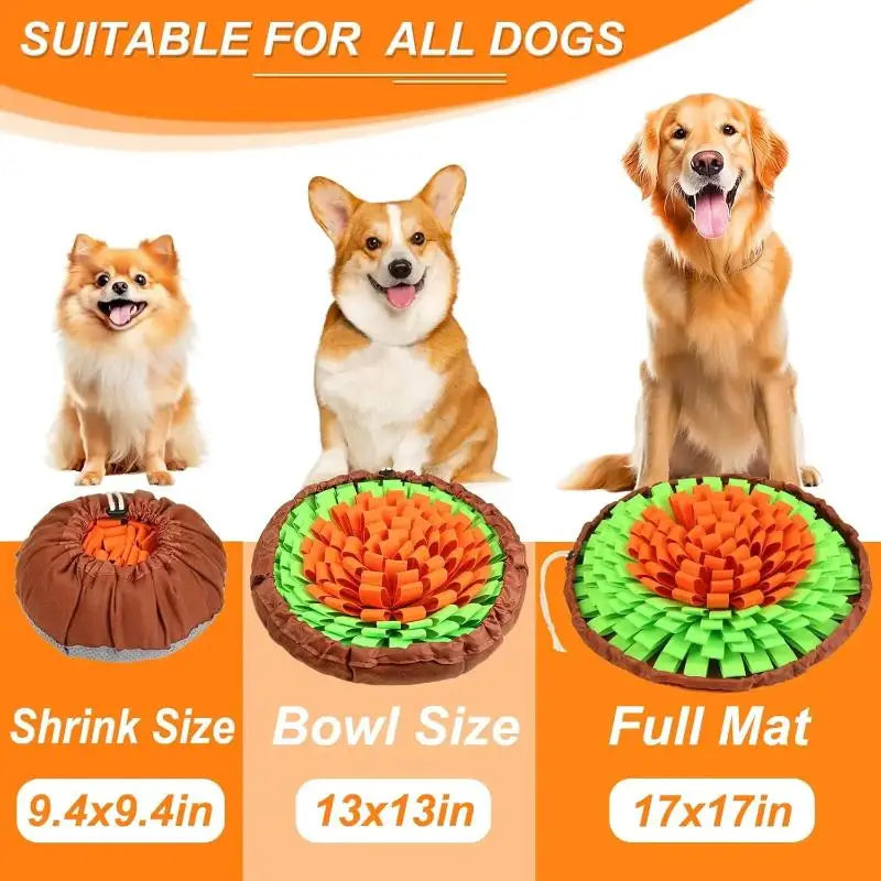 Interactive 3-in-1 Adjustable Pet Snuffle Mat & Foraging Bowl