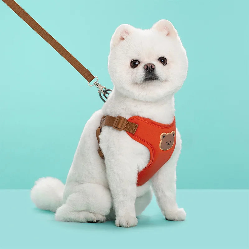 Cute Bear Chest Harness & Matching Leash Set
