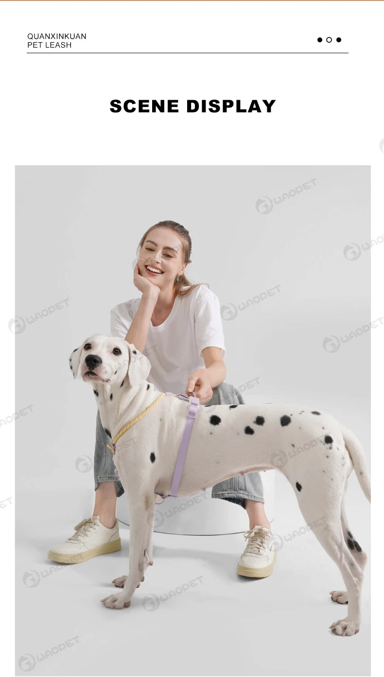 Light Luxury Minimalist PVC & Nylon Dog Harness