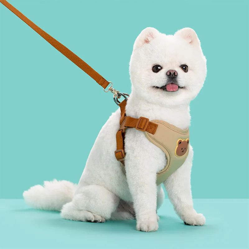 Cute Bear Chest Harness & Matching Leash Set