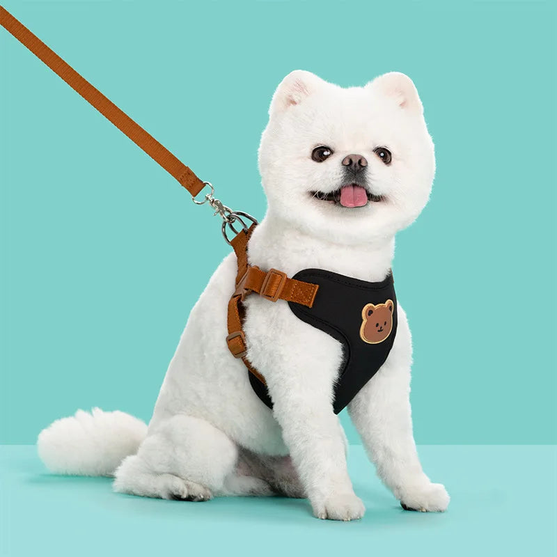 Cute Bear Chest Harness & Matching Leash Set