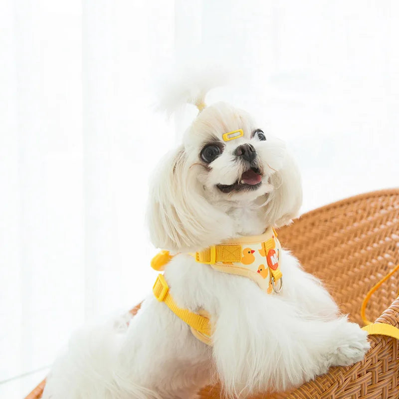 Playful Plush 3D Vest Harness & Leash Set – Breathable Mesh