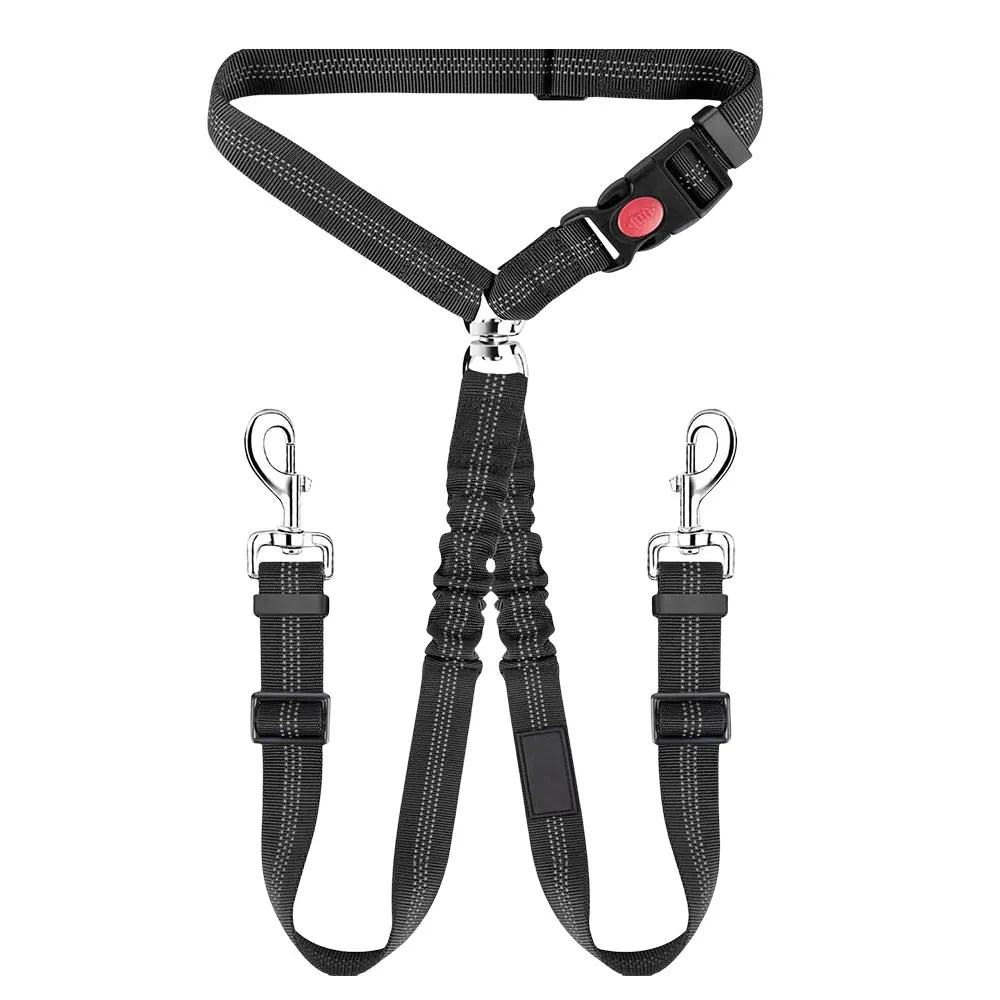 2-in-1 Dual Pet Safety System: Leash & Seatbelt