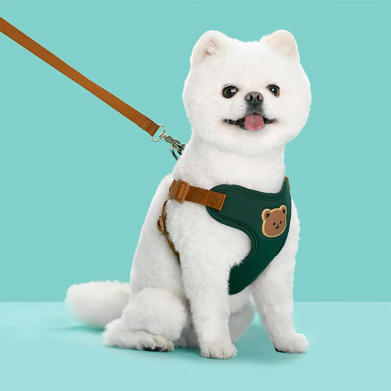 Cute Bear Chest Harness & Matching Leash Set