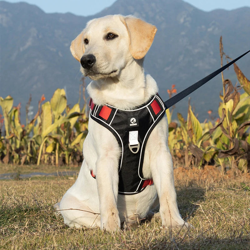 Heavy-Duty Reflective Dog Harness Vest