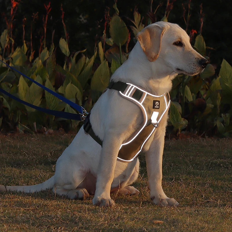 Heavy-Duty Reflective Dog Harness Vest
