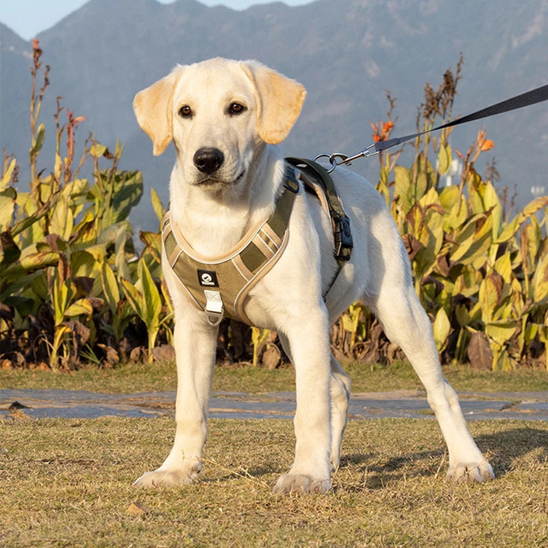 Heavy-Duty Reflective Dog Harness Vest