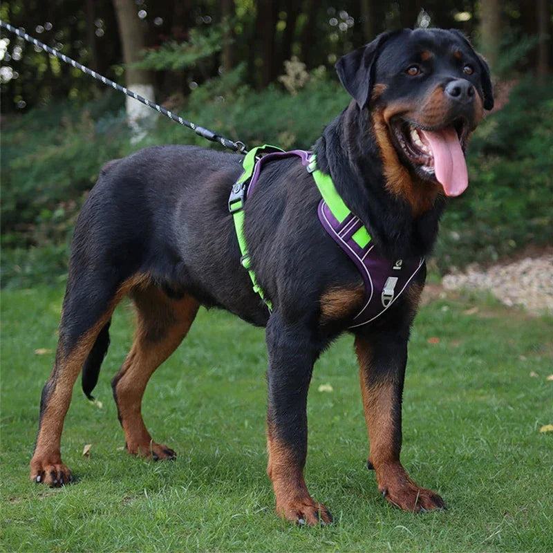 Heavy-Duty Reflective Dog Harness Vest