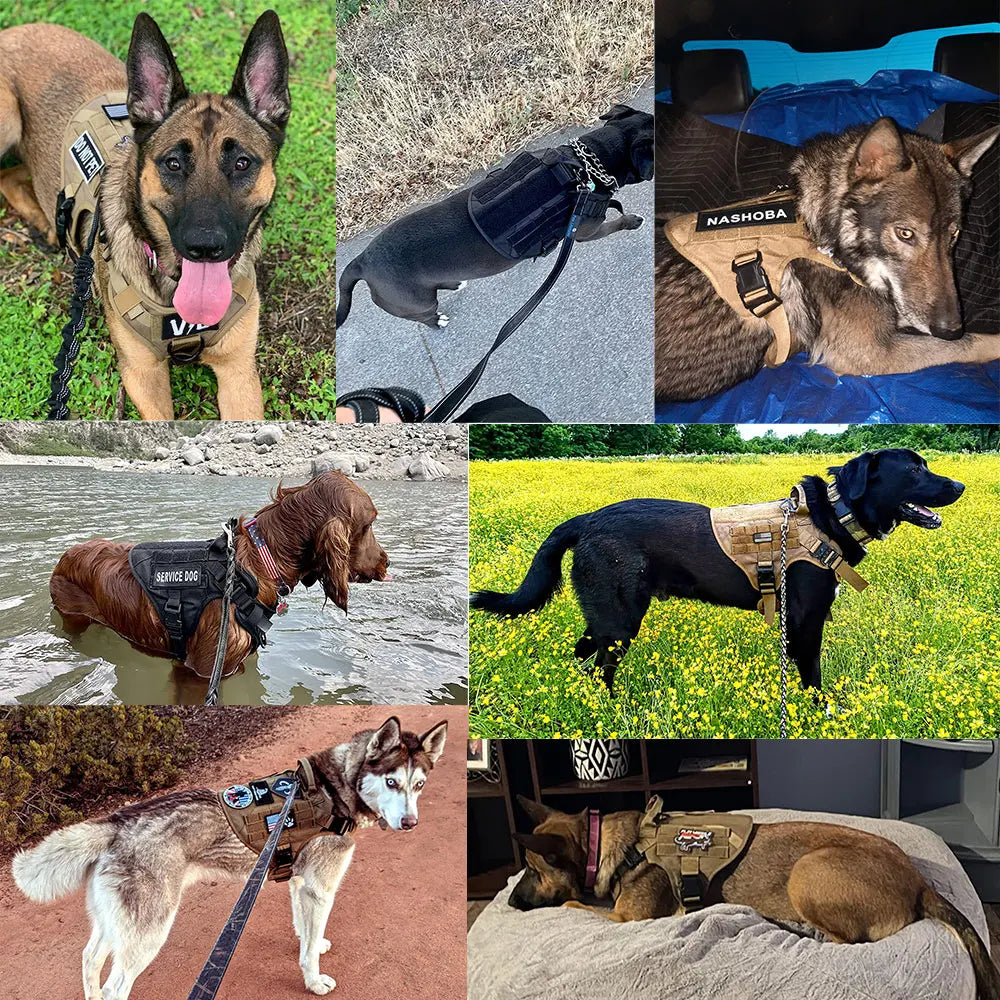 K9 Tactical Military Dog Harness with Ergonomic Control Handle
