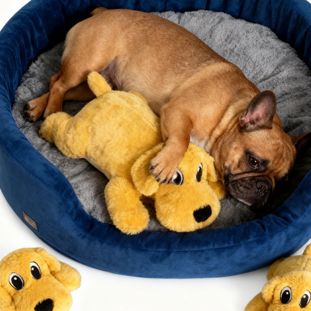 Interactive Soothing Plush Pet Toy